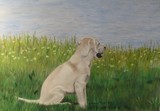 by Katherine Taylor-Green