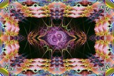 by Jo Glasscock