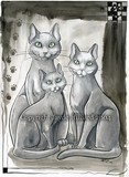 by Jayde Hilliard