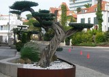 by José Ramalhão Fortunato