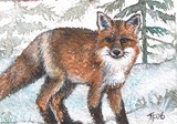 by Terri Walker