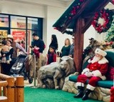 by Francie Aguilera Simonson