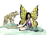 by Preston Shupp
