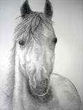 by donald penwell