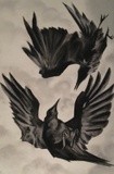 by Shelley Tate Garner