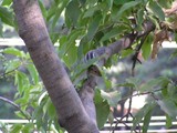 by Sanjeev Sule