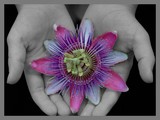 by Beckie Bragga