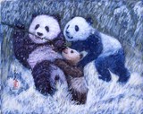 by Komi Chen