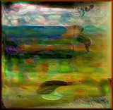 by Barry Huyett