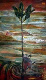 by Xixa Basha