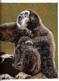 by Liz Robinson