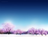 by Ho Tik