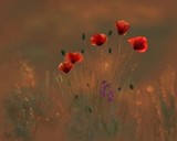 by Lee Fogle