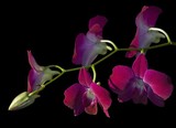 by Greg Summers