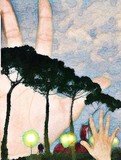 by rokko  spider