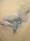 by Lauren Adams