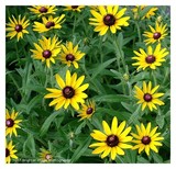 by Brighter Image Photography