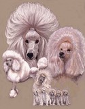 by Barbara Keith
