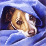 by Barbara Keith
