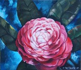 by Tatyana Shurtz