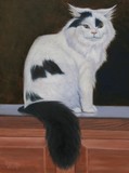 by Dan Mills