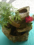 by Pedra Viva mini jardins