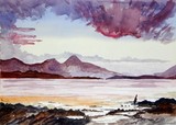 by robert minchin