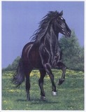by diane deason