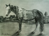 by Jenna Frazier