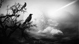 by Vladimir Desancic