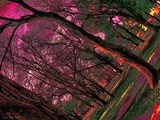 by Kovács János