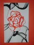 by Stephanie Haskett
