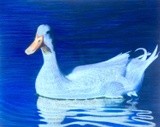 by DULCIE DEE
