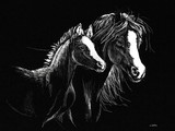 by Jennifer Jeffris