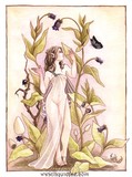 by Erin Ewer