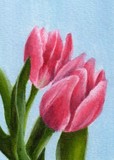 by Debbie Shirley