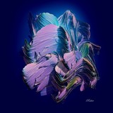 by Sara  Raber