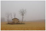 by Graziano Racchelli