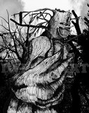 by Vicarious Press