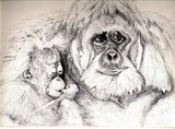 by Liz Jennings