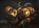 by Dusan Vukovic