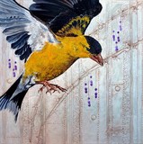 by Erika Schulz