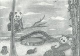 by Nevin 