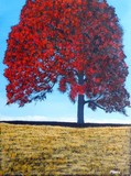 by Robert Anthony Montesino