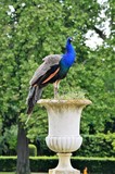 by Marie josé LAURIER