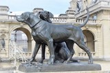 by Marie josé LAURIER
