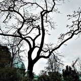by Marie josé LAURIER