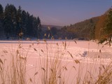 by Michal Dunaj