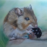 by Debi Ware