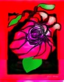 by Grace Arledge